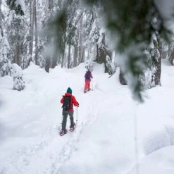 Snowshoes MSR Snowshoe Kit (Evo Trail, DynaLock Trail Poles & Bag)