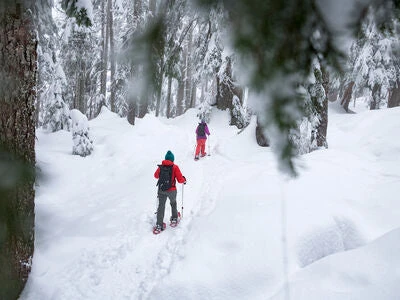 Snowshoes MSR Snowshoe Kit (Evo Trail, DynaLock Trail Poles & Bag)