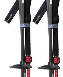 MSR DynaLock Backcountry Poles