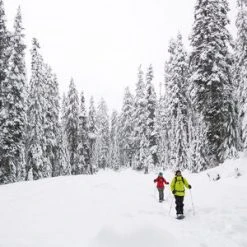 MSR Revo Trail Snowshoes