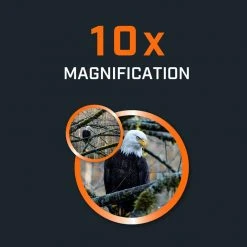 Bushnell H2O 10x25 Waterproof Binoculars