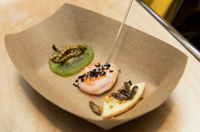 Novelties Lil Bugz Edible Scorpions, Superworms And Crickets