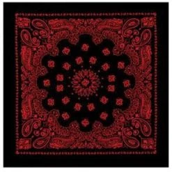 Rothco Trainmen Paisley Bandana - 22