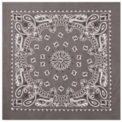 Rothco Trainmen Paisley Bandana - 22