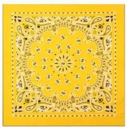 Rothco Trainmen Paisley Bandana - 22