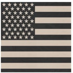 Bandanas & Headwraps Rothco Subdued US Flag Bandana