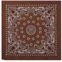 Rothco Trainmen Paisley Bandana - 22