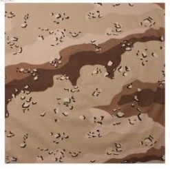 Bandanas & Headwraps Rothco Classic Camo Bandana