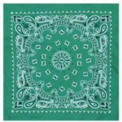 Rothco Trainmen Paisley Bandana - 22