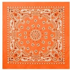 Rothco Trainmen Paisley Bandana - 22