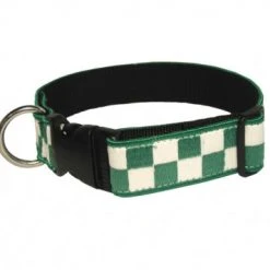 Boston Leather 1 ½ Decorative Embroidered Collar, Green/White