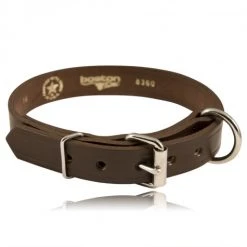 Boston Leather 1½ Single Ply K-9 Collar
