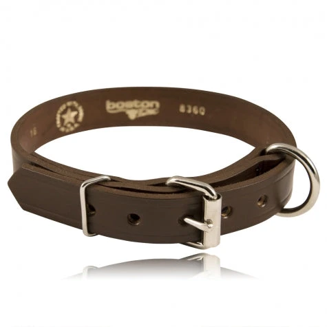 Boston Leather 1½ Single Ply K-9 Collar