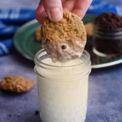 Nutrient Survival Chocolate Chip Cookie-Meals MREs