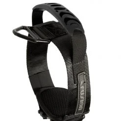 Fusion Dog K9 Collar