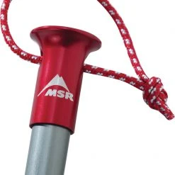 MSR Core Stakes 9" Kit (4 Stakes)