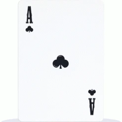 Maxpedition Tactical Field Deck All Weather Playing Cards