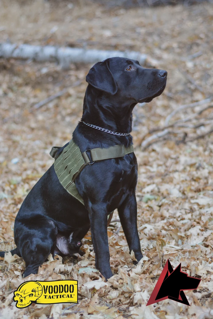 K9 Dog Gear Voodoo Tactical Alpha K9 Mark 1 Duty Harness