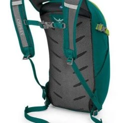 Day Backpacks Osprey Daylite Backpack