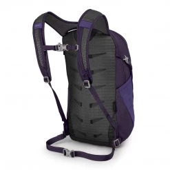 Day Backpacks Osprey Daylite Backpack