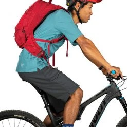 Osprey Raptor 10 Backpack