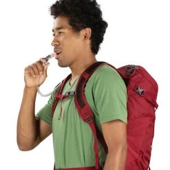 Day Backpacks Osprey Skarab 30 Backpack