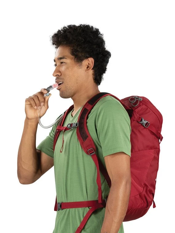 Day Backpacks Osprey Skarab 30 Backpack