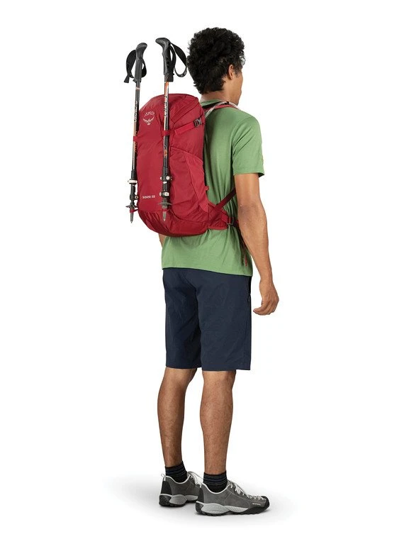 Day Backpacks Osprey Skarab 30 Backpack