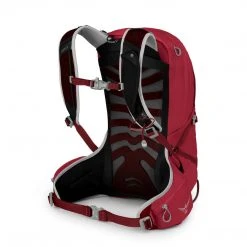 Osprey Talon 11 Mens Backpack