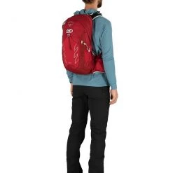 Day Backpacks Osprey Talon 22 Backpack