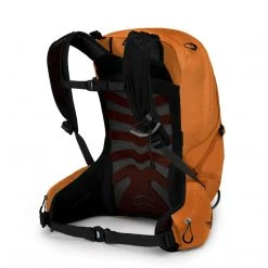 Day Backpacks Osprey Tempest 20 Womens Backpack